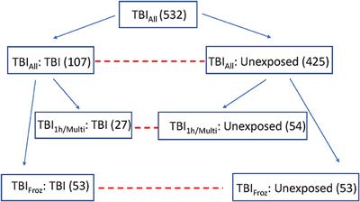 The Delayed Neuropathological Consequences of Traumatic Brain Injury in a Community-Based Sample